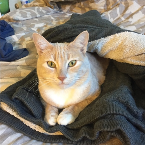 Meet Your Posher, Jessica! - Picture 1 of 1